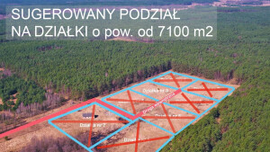 DZIALKA-NR-1-SUGEROWANY-PODZIAL-v7