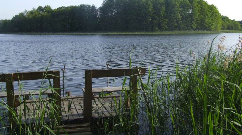 Osada Pąchy - działki na sprzedaż w zachodniej Wielkopolsce