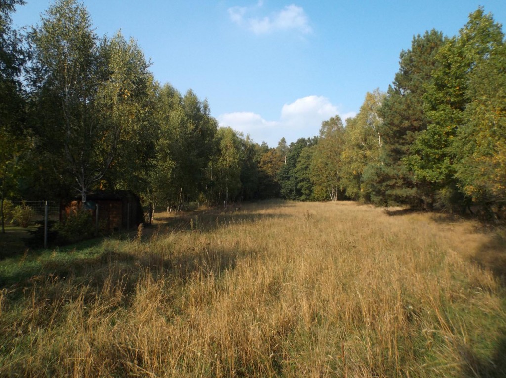 Osada Pąchy - działki na sprzedaż w zachodniej Wielkopolsce