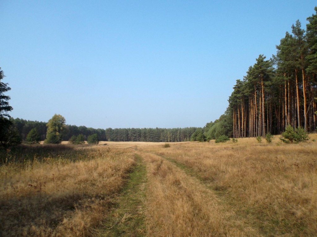 Osada Pąchy - działki na sprzedaż w zachodniej Wielkopolsce