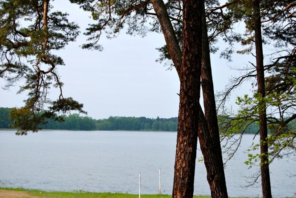 Osada Pąchy - działki na sprzedaż w zachodniej Wielkopolsce