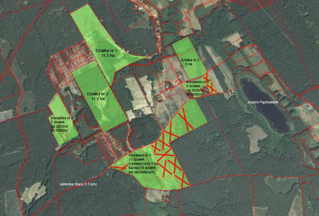 mapa-dzialki-ziemia-grunty-na-sprzedaz-w-wielkopolsce-pachy-miedzichowo-10-10-2015