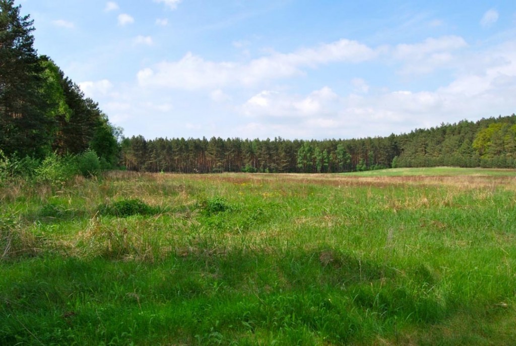 Osada Pąchy - działki na sprzedaż w zachodniej Wielkopolsce