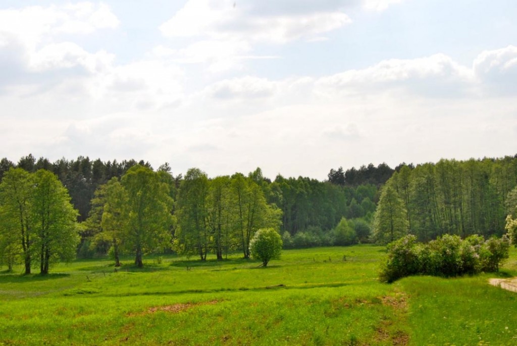 Osada Pąchy - działki na sprzedaż w zachodniej Wielkopolsce