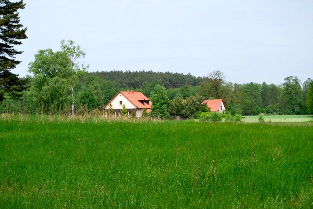 Osada Pąchy - działki na sprzedaż w zachodniej Wielkopolsce