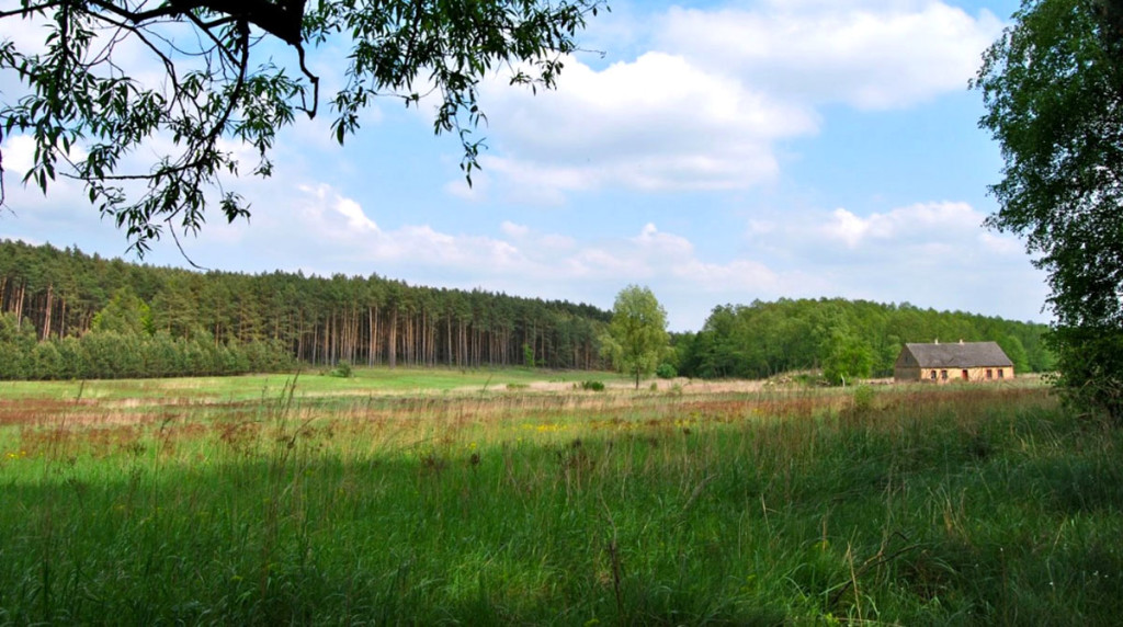 dzialki-na-sprzedaz-pachy-wielkopolska-slider-1200x670-6-v2