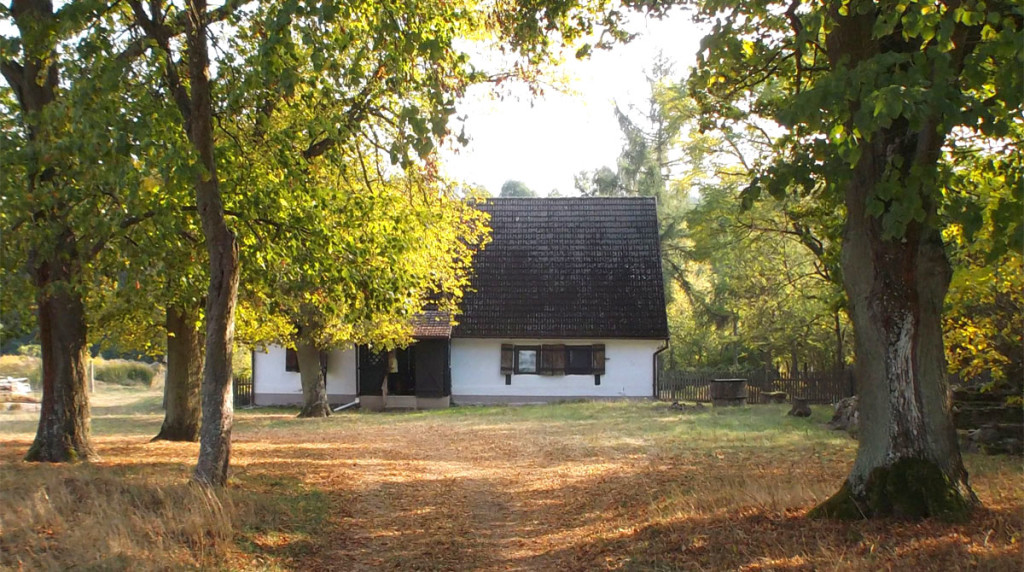 dzialki-na-sprzedaz-pachy-wielkopolska-slider-1200x670-8-v2