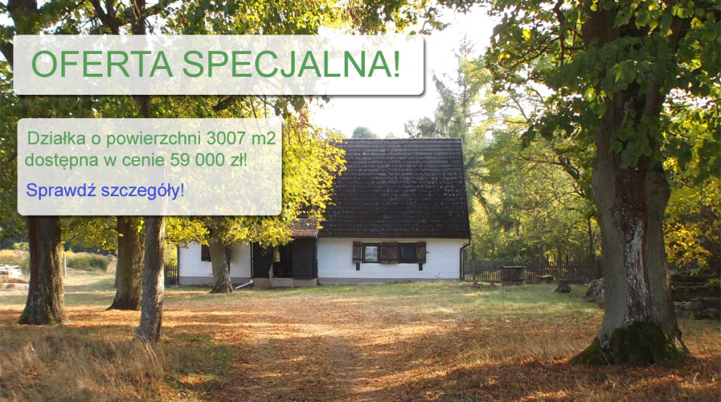 oferta-specjalna-1