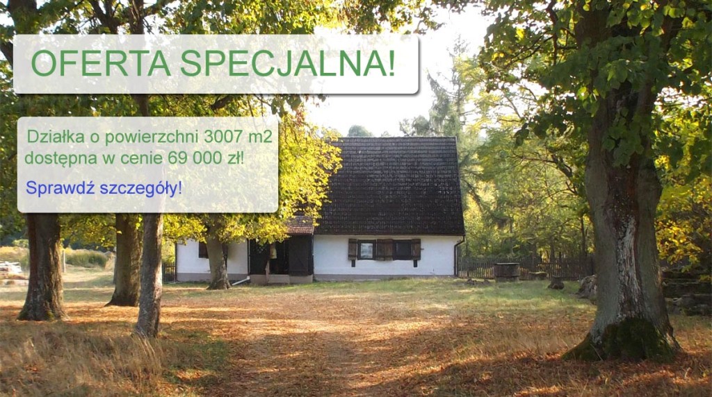 oferta-specjalna-1-v2