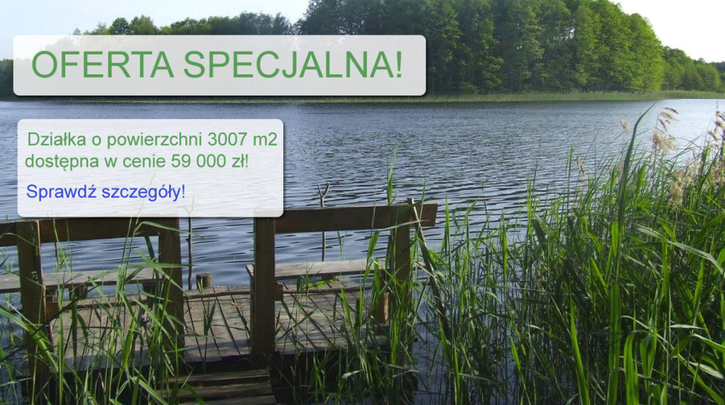 oferta-specjalna-2