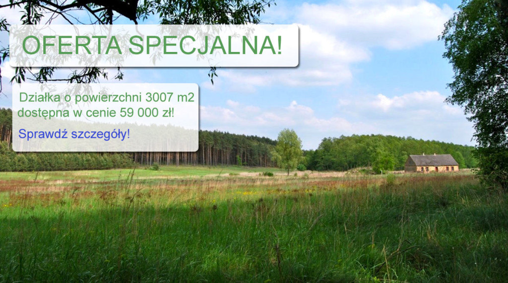 oferta-specjalna-3