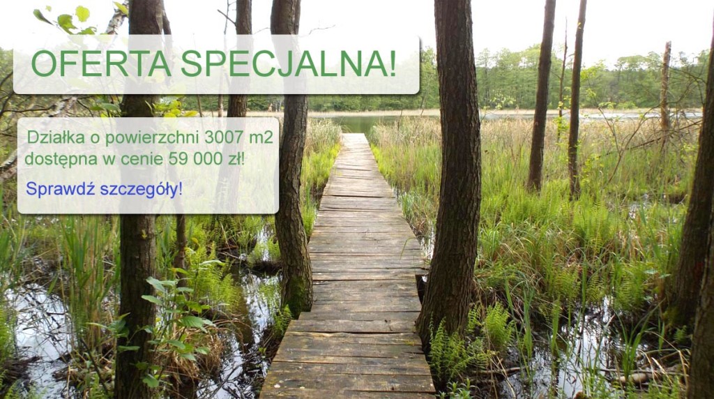 oferta-specjalna-4
