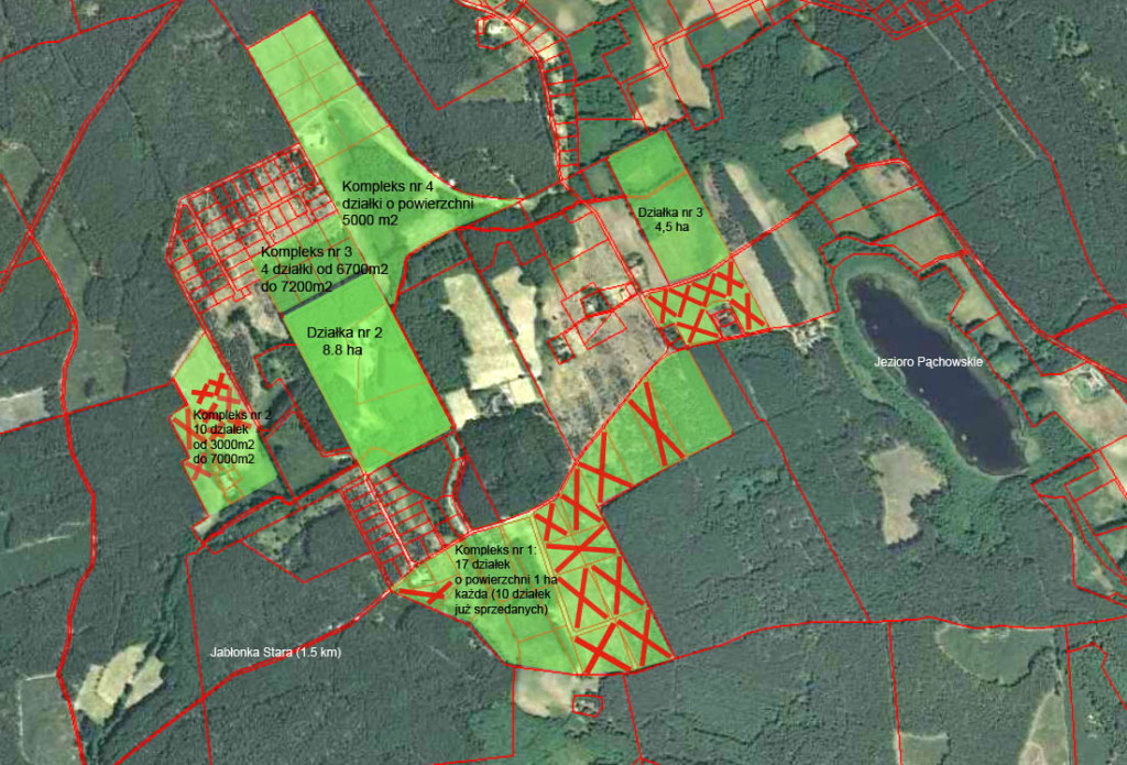 Mapa_Pąchy_Działki_v17_5_06_2019
