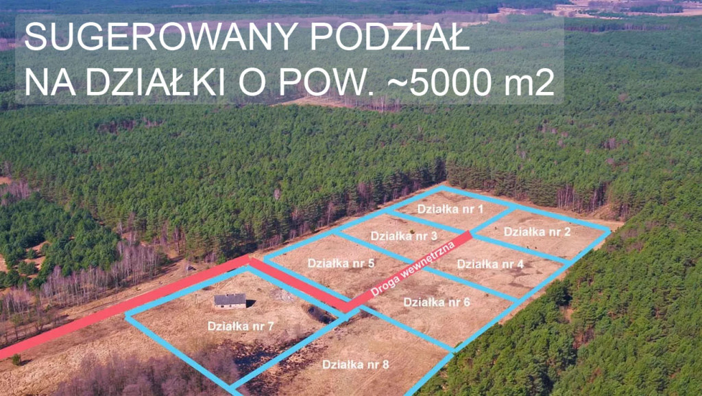 DZIALKA-NR-1-SUGEROWANY-PODZIAL