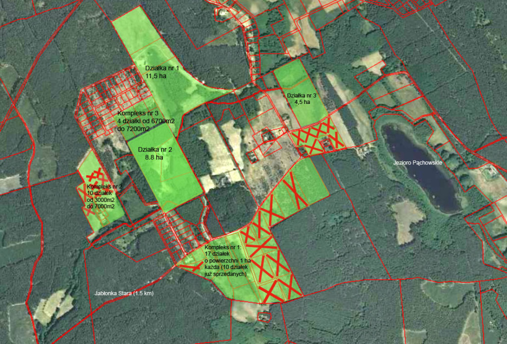 Mapa_Pąchy_Działki_v18_16_08_2019