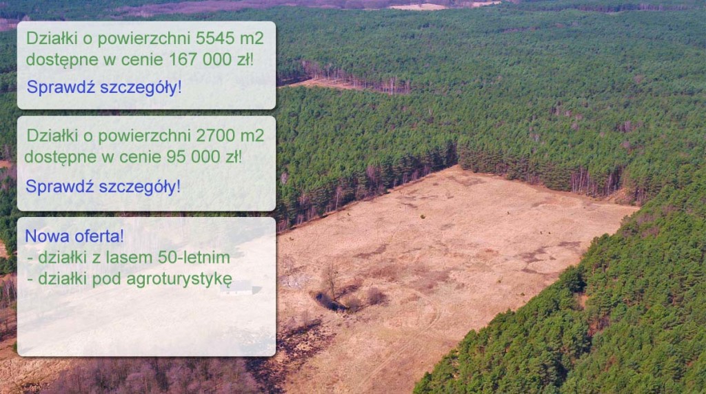 oferta-specjalna-5-v12-1