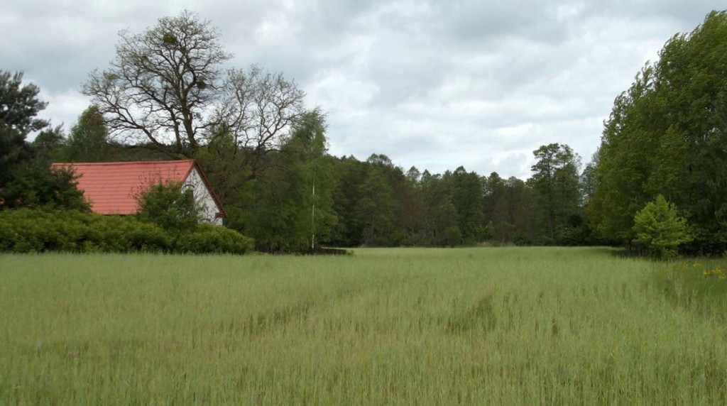 dzialki-na-sprzedaz-pachy-wielkopolska-slider-1200x670-4