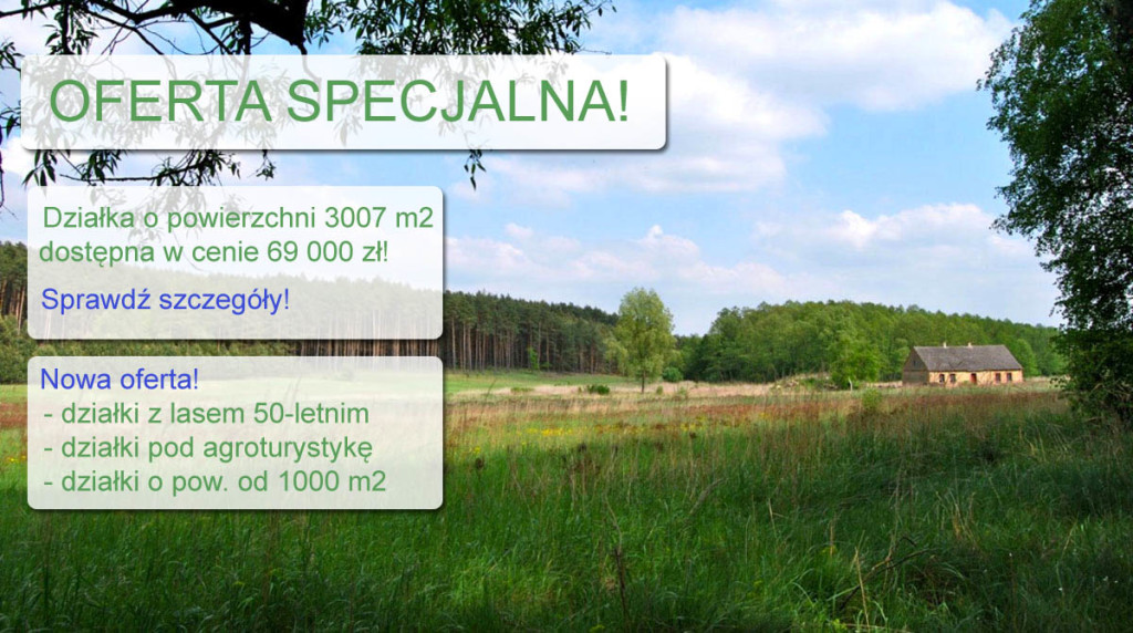 oferta-specjalna-3-v5