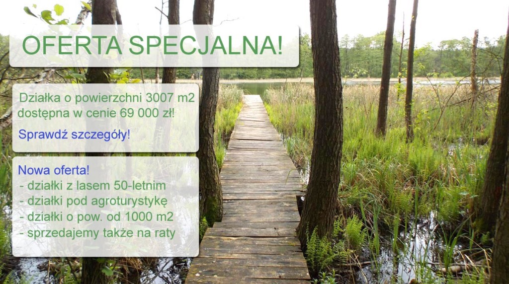 oferta-specjalna-4-v6