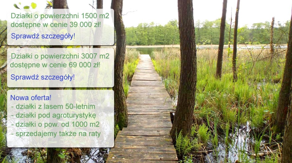 oferta-specjalna-1-v7