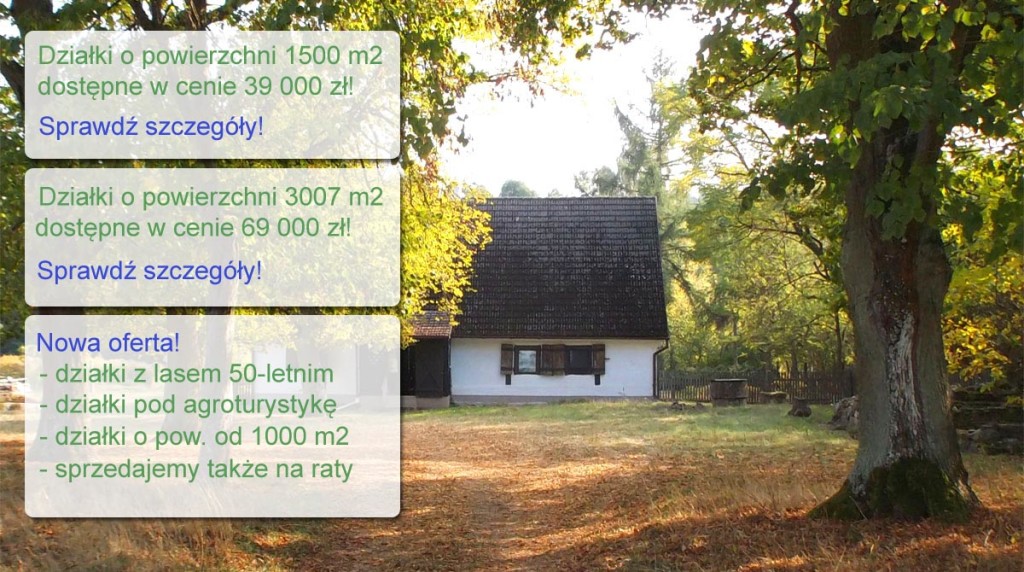 oferta-specjalna-4-v7