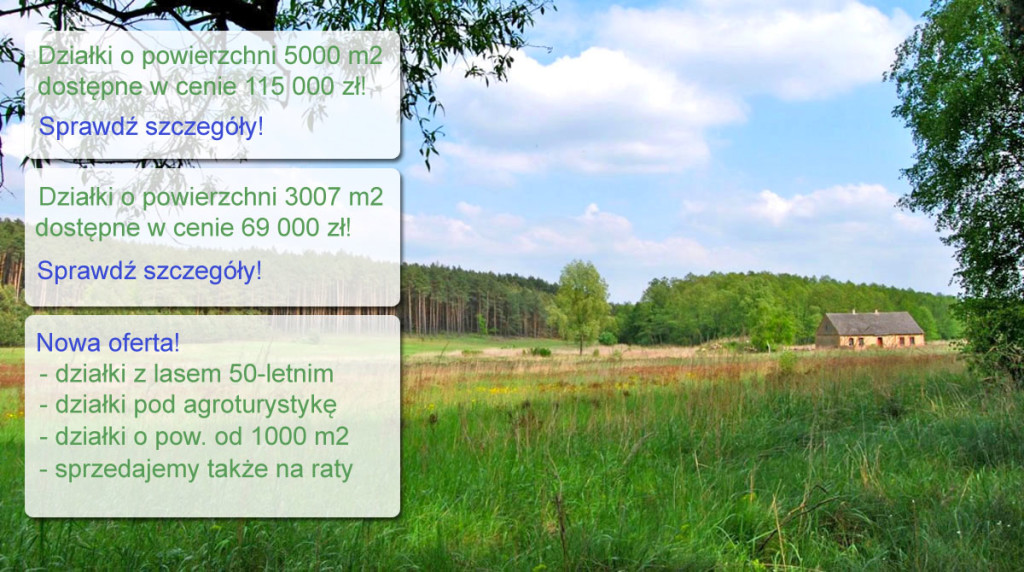 oferta-specjalna-3-v8