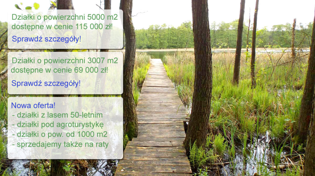 oferta-specjalna-4-v8